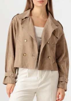 DAMES ALTER EGO jack florien