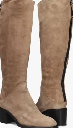 DAMES BLASZ hoge laarzen 194