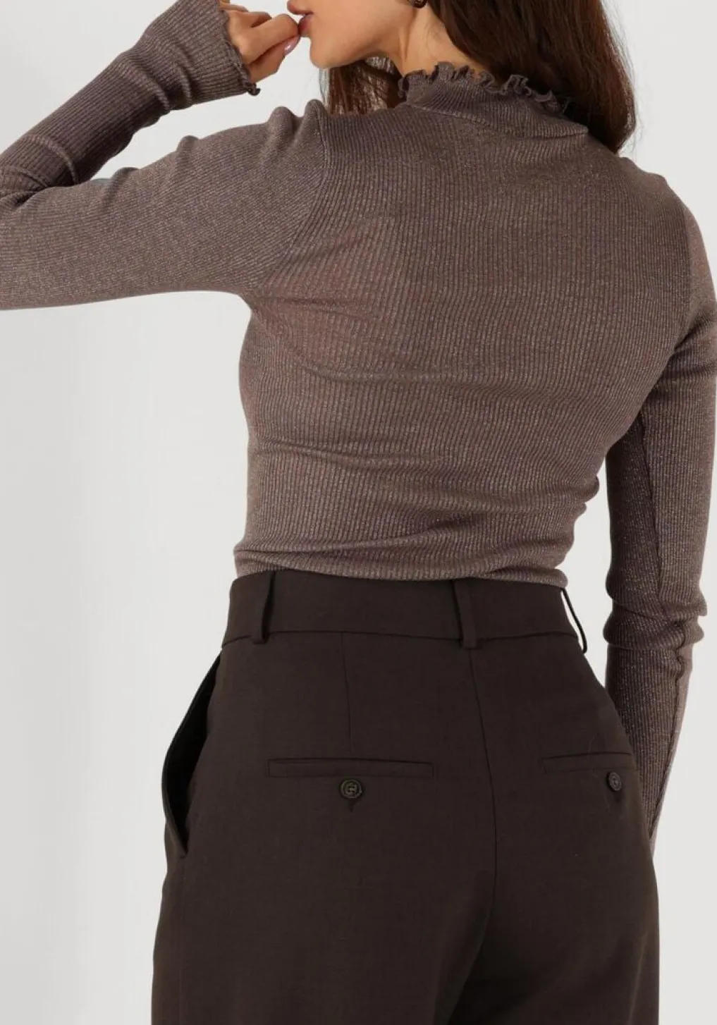 DAMES ROSEMUNDE top boston turtleneck w/ lurex