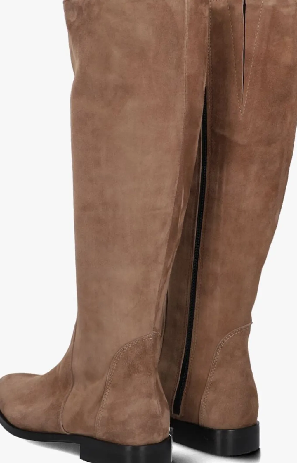 DAMES STEFANO LAURAN hoge laarzen s3304