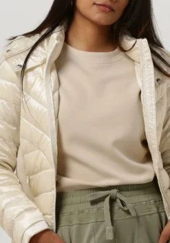 DAMES BEAUMONT te jack devi