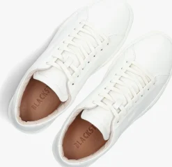 Heren BLACKSTONE te lage sneakers crag finn low