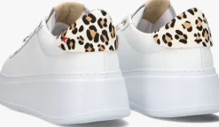 DAMES GIO+ te lage sneakers pia