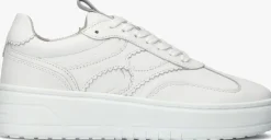 DAMES NOTRE-V te lage sneakers anemone-63