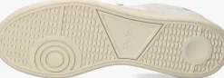 Heren POLO RALPH LAUREN te lage sneakers hrt aera pp low top lace