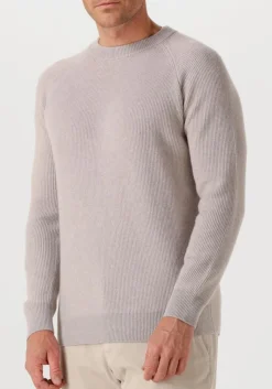 Heren FILIPPO DE LAURENTIIS trui g collo ml raglan