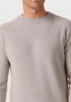 Heren FILIPPO DE LAURENTIIS trui g collo ml raglan