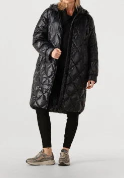 DAMES XSENSIBLE lage sneakers milau