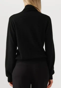 DAMES ABSOLUT CASHMERE e trui themys