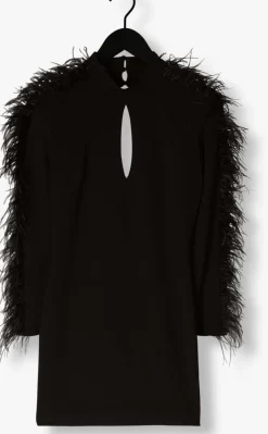 DAMES ACCESS e mini jurk long sleeve mini dress with feat