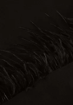 DAMES ACCESS e mini jurk long sleeve mini dress with feat