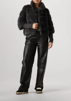 DAMES ALTER EGO e pantalon lucca