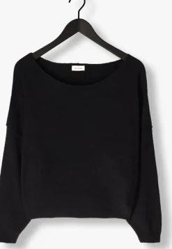 DAMES AMERICAN VINTAGE e trui damsville