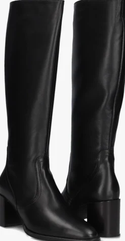 DAMES BLASZ e hoge laarzen 106