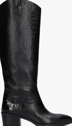 DAMES BLASZ e hoge laarzen 35