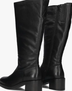 DAMES BLASZ e hoge laarzen 2plain304