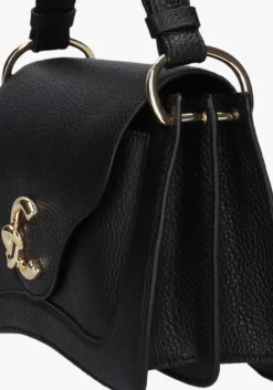 DAMES COCCINELLE e schoudertas c-me