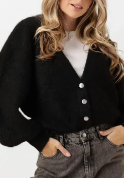 DAMES CO'COUTURE e vest corelie button knit