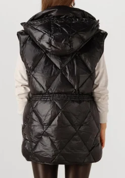 DAMES DEBLON SPORTS e bodywarmer elice cape