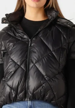 DAMES DEBLON SPORTS e bodywarmer stevie