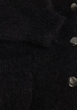 DAMES DES PETITS HAUTS e vest betani