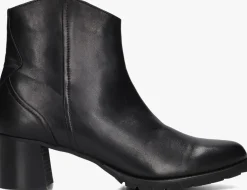 DAMES EVERYBODY e enkellaarsjes elvia