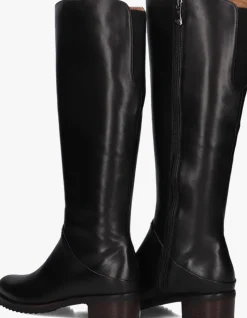 DAMES EVERYBODY e hoge laarzen berta