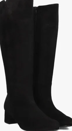 DAMES GABOR e hoge laarzen 689