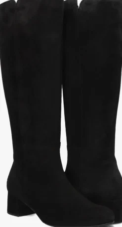 DAMES GABOR e hoge laarzen 689