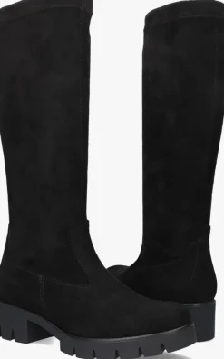 DAMES GABOR e hoge laarzen 719