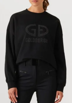 DAMES GOLDBERGH e sweater alessandra crew neck sweater