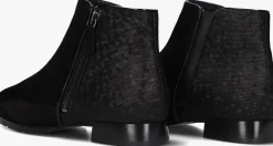 DAMES HASSIA e enkellaarsjes madeira