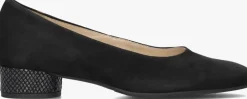 DAMES HASSIA e pumps 302623