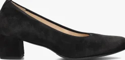 DAMES HASSIA e pumps 304902