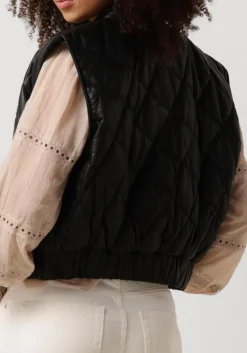 DAMES IBANA e gilet jordien