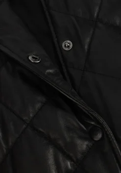 DAMES IBANA e gilet jordien