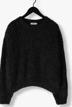 DAMES KNIT-TED e trui phoebe