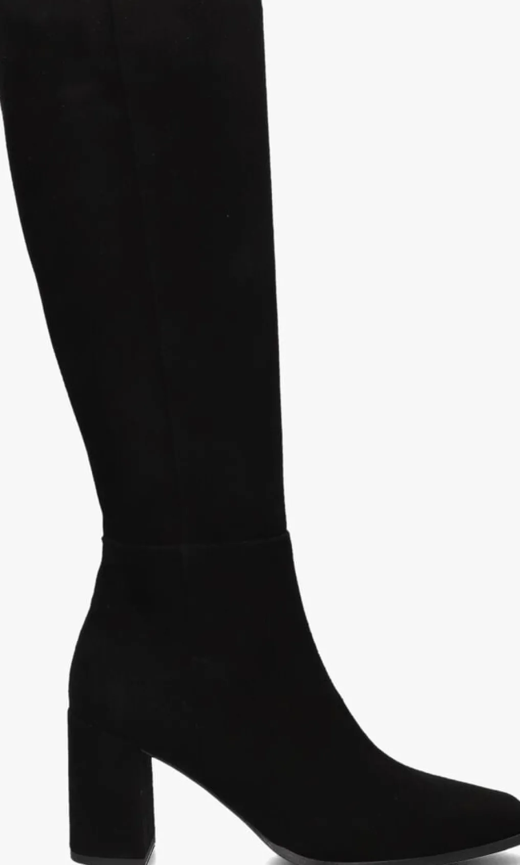 DAMES LINA LOCCHI e hoge laarzen 33090