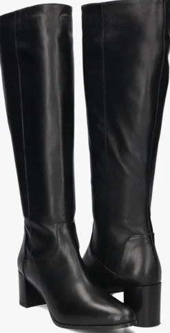 DAMES LINA LOCCHI e hoge laarzen 8591