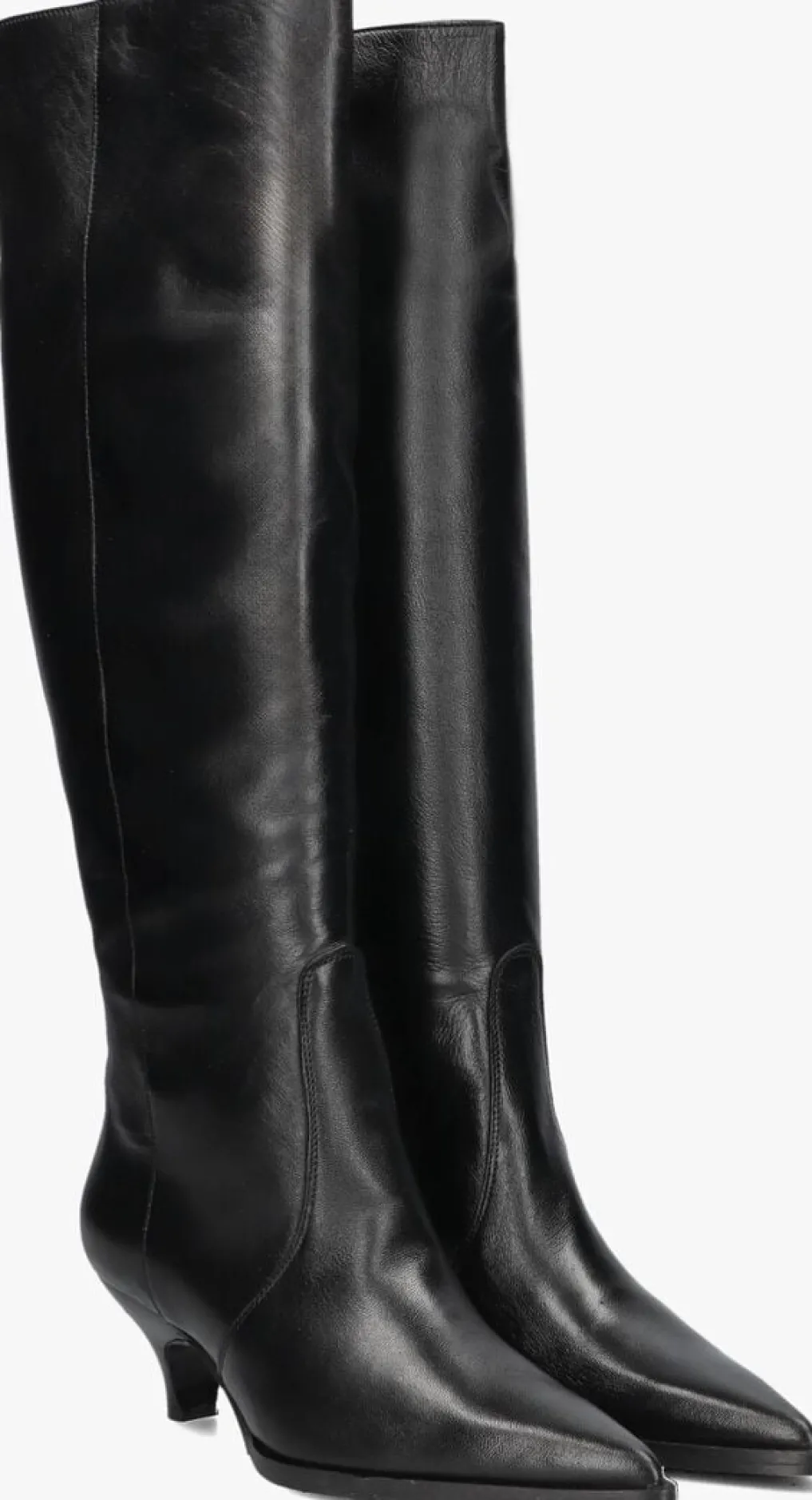 DAMES LINA LOCCHI e hoge laarzen av 256