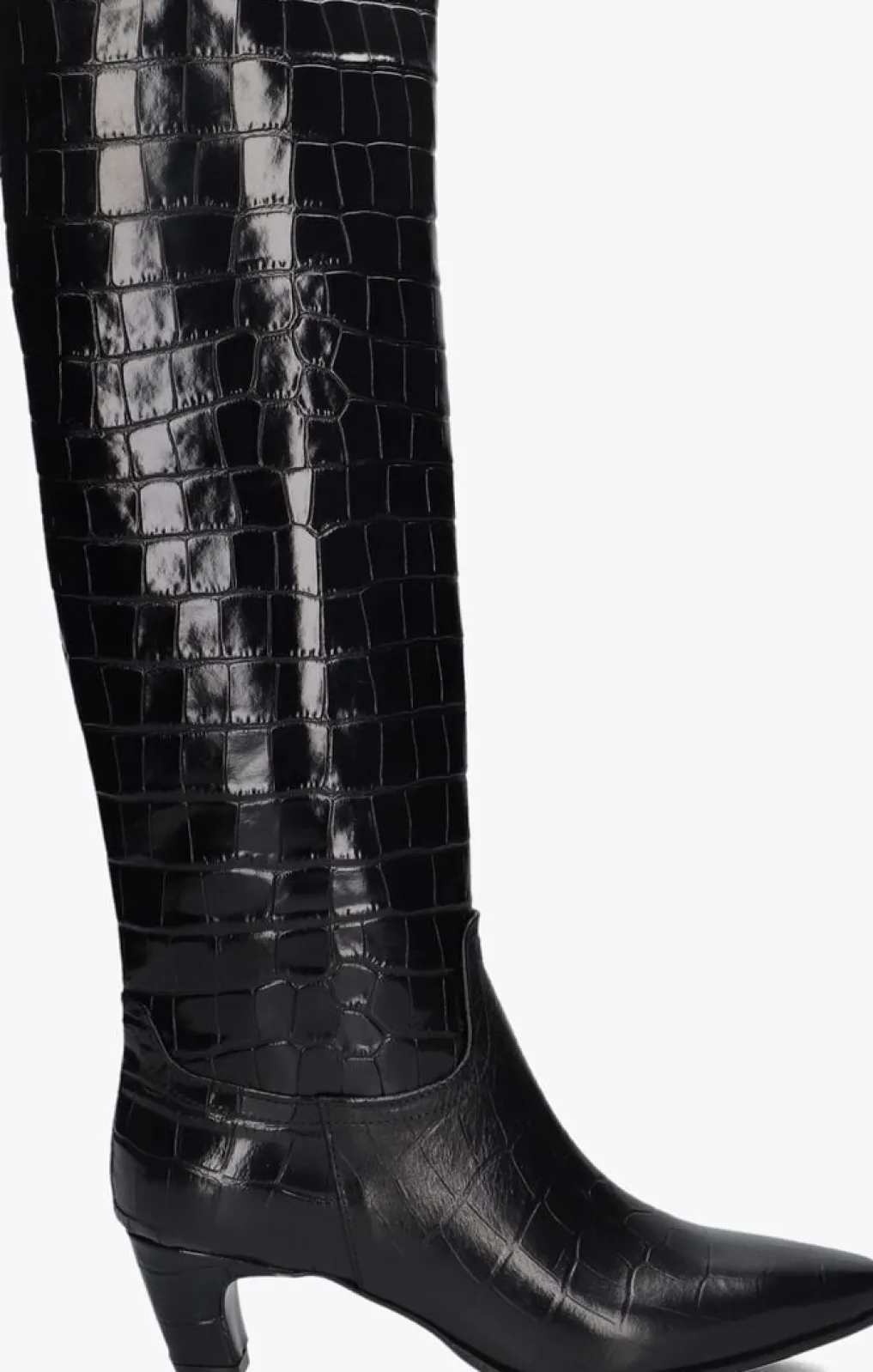 DAMES LINA LOCCHI e hoge laarzen mw508