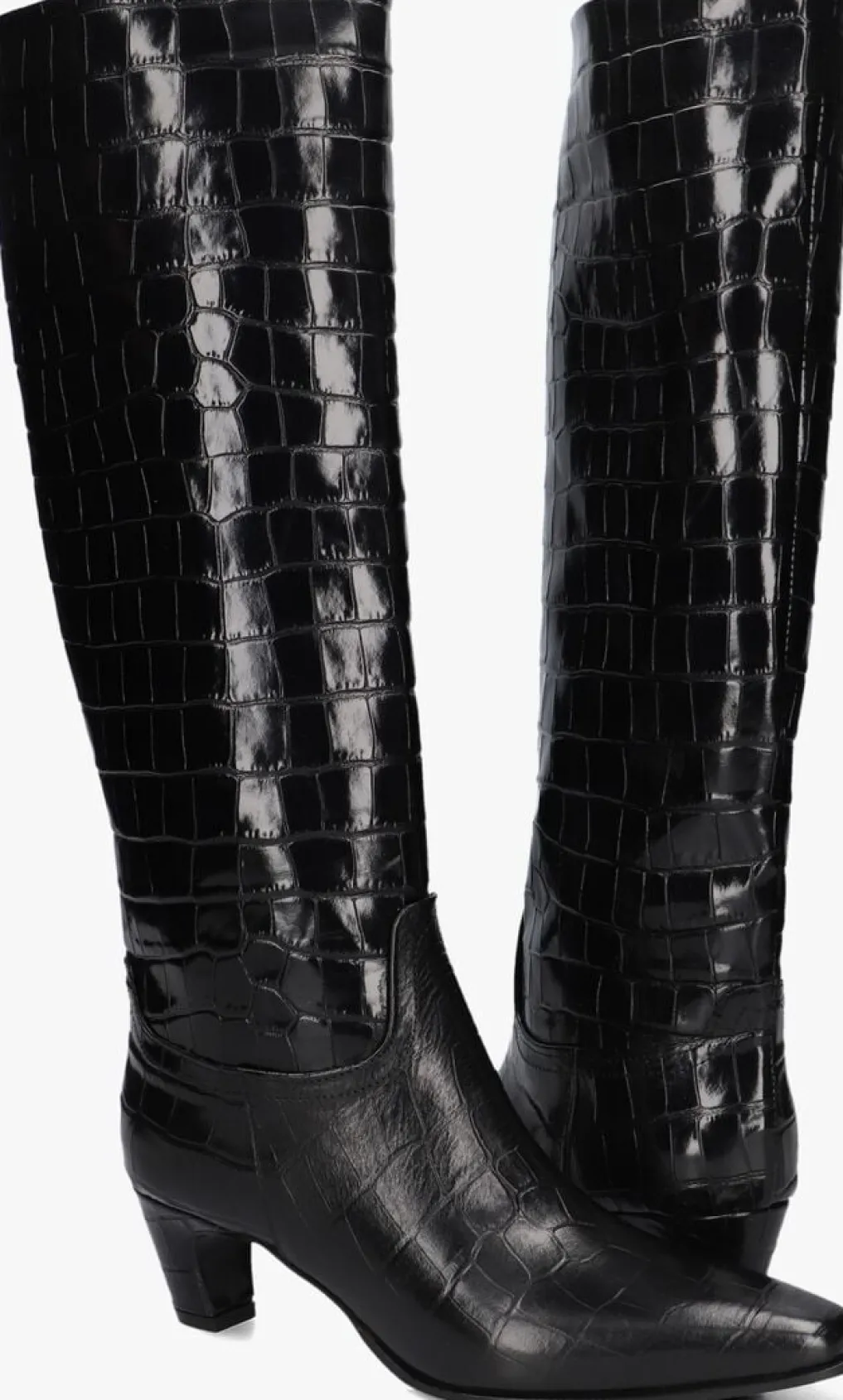 DAMES LINA LOCCHI e hoge laarzen mw508