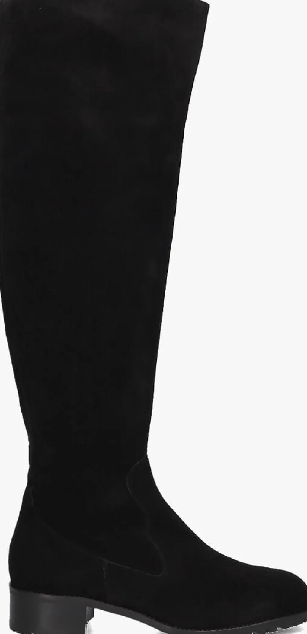 DAMES NALINI e hoge laarzen 22i108