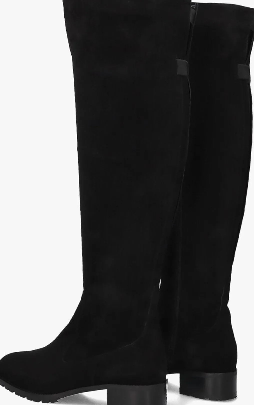 DAMES NALINI e hoge laarzen 22i108