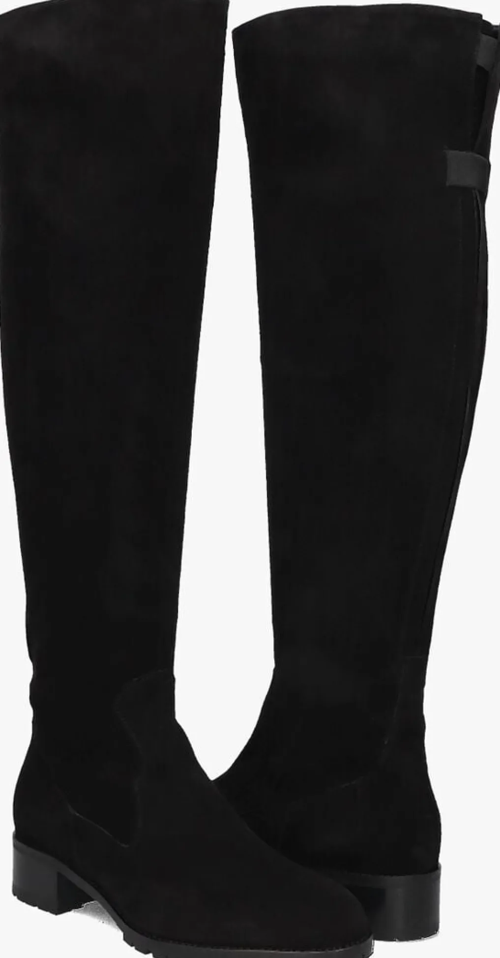 DAMES NALINI e hoge laarzen 22i108