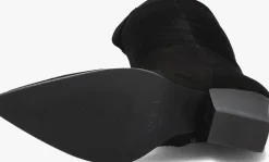 DAMES NOTRE-V e hoge laarzen 31190