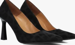 DAMES NOTRE-V e pumps 2211