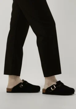 DAMES SCHOLL e instappers fae