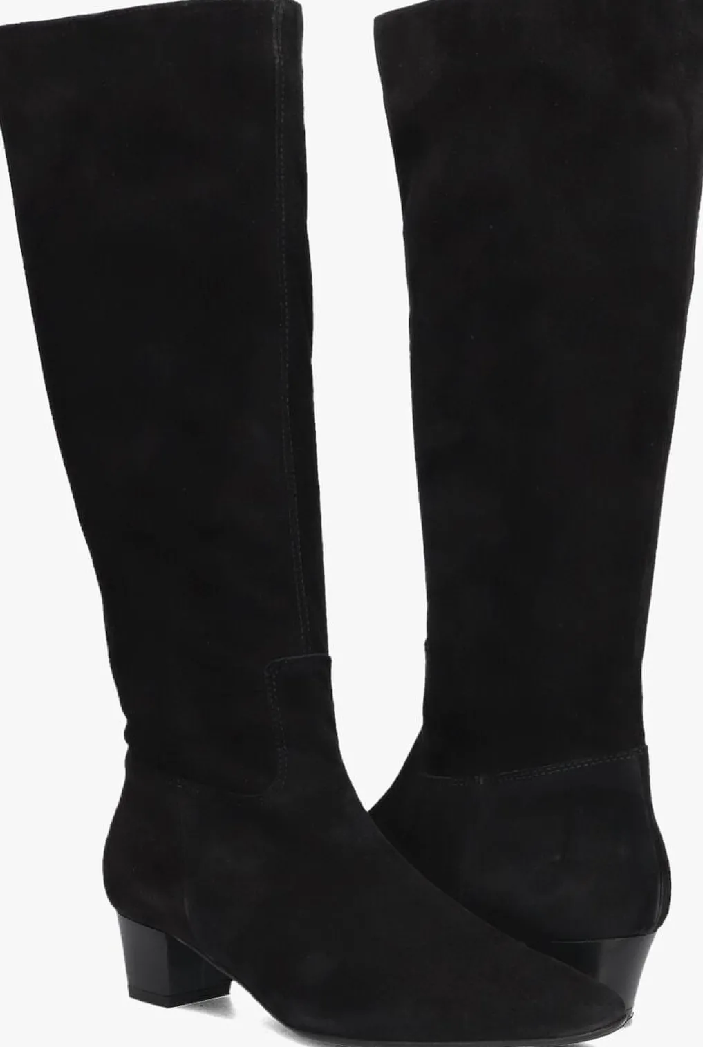 DAMES STEFANO LAURAN e hoge laarzen 010-290