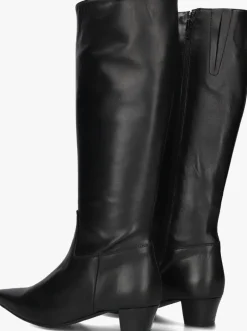 DAMES STEFANO LAURAN e hoge laarzen 010-290